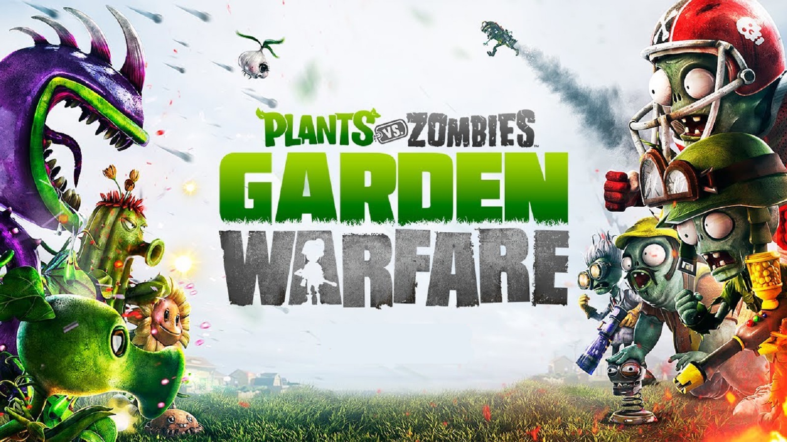 Plants Vs Zombies Background