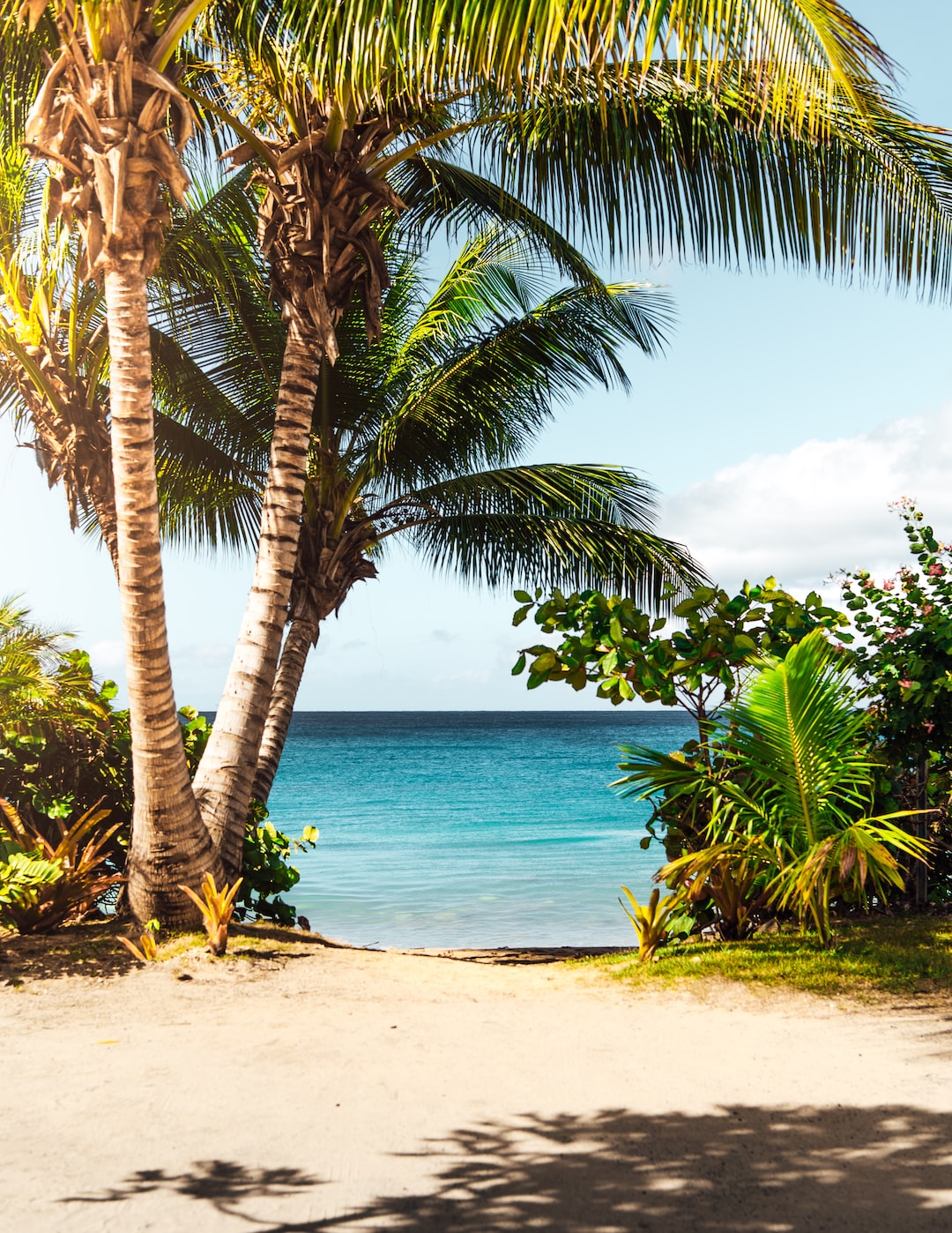 Pretty Beach Backgrounds