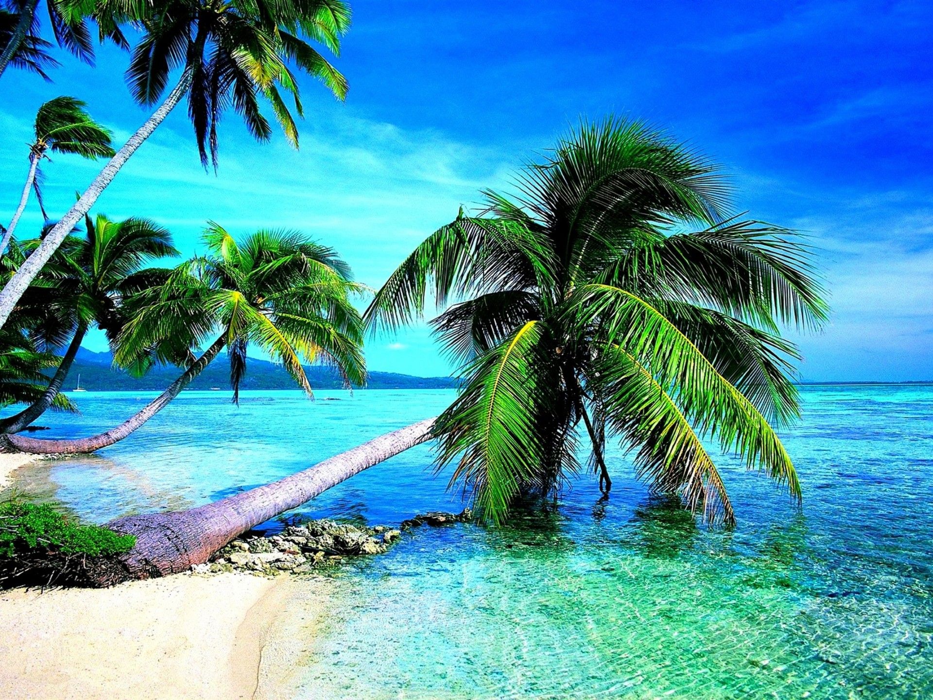 Pretty Beach Backgrounds