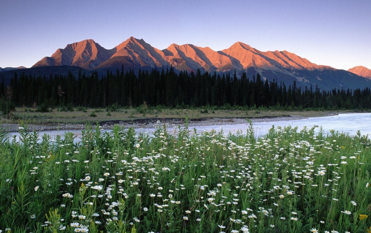 Rocky Mountains Background