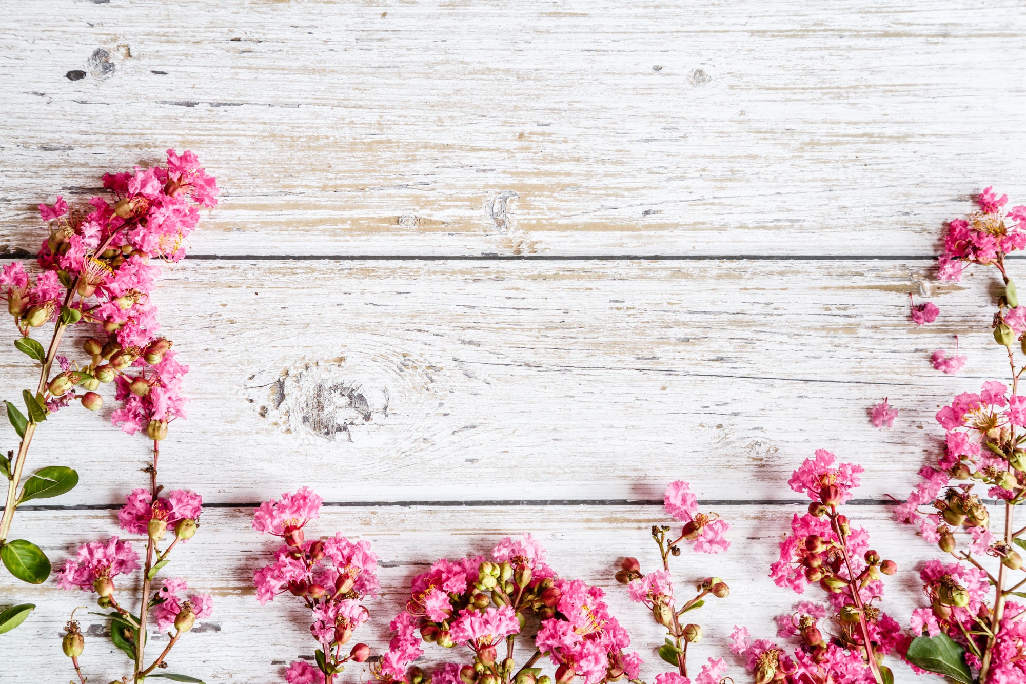 Rustic Flowers Background