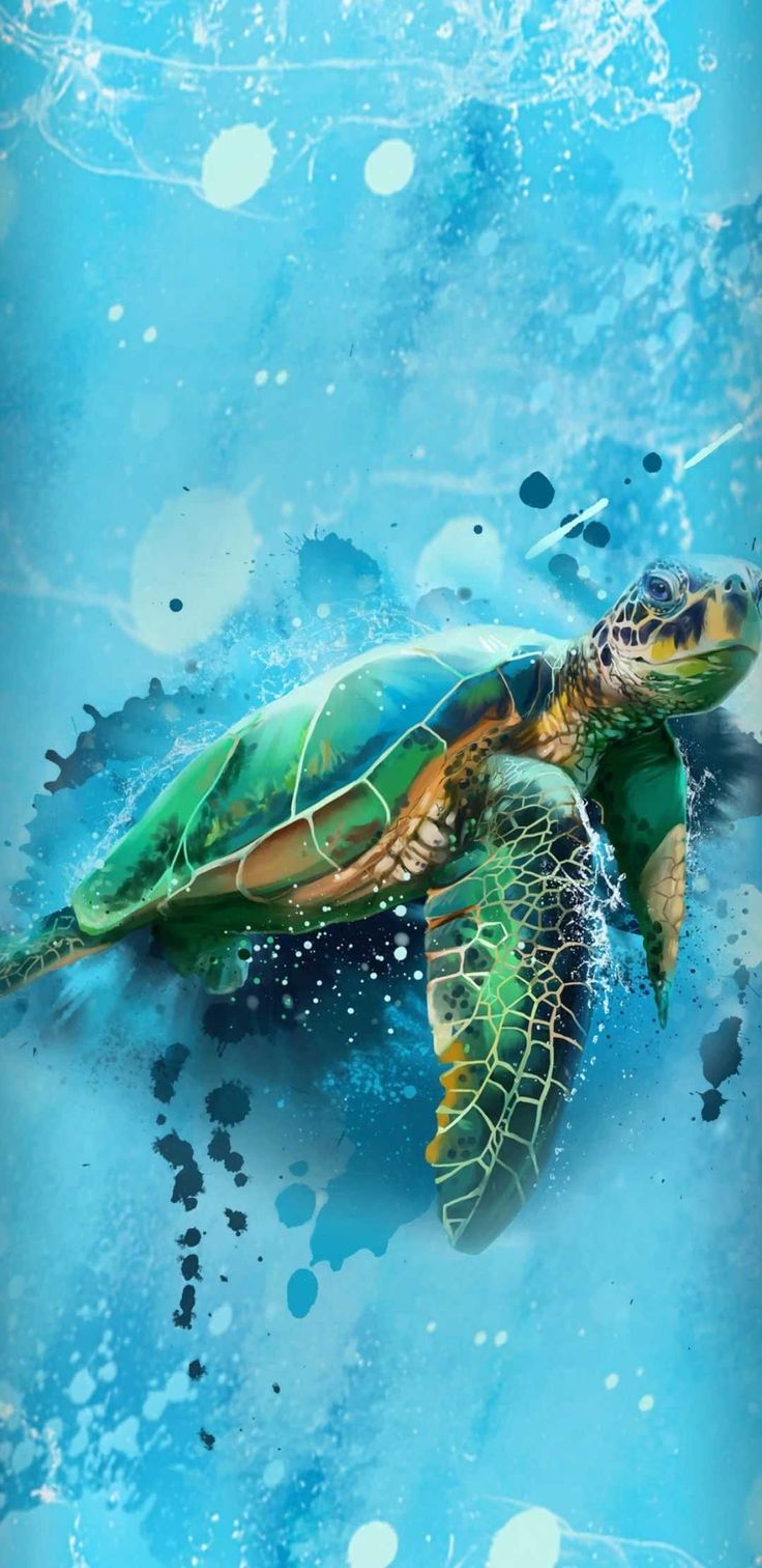 Sea Turtle Desktop Background