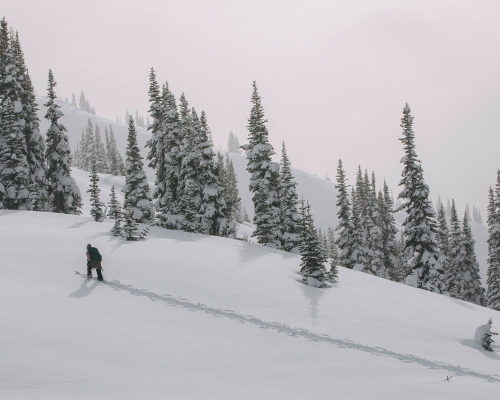 Skiing Zoom Background