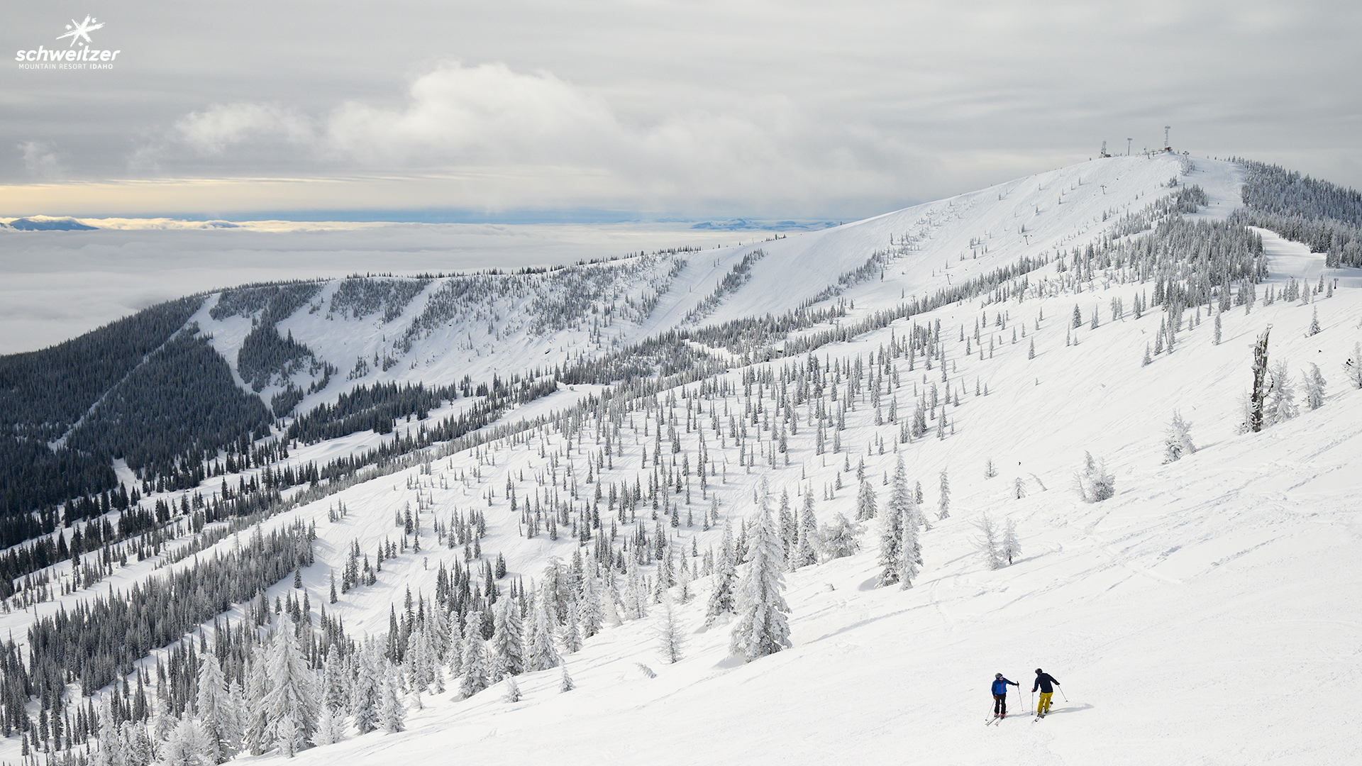 Skiing Zoom Background