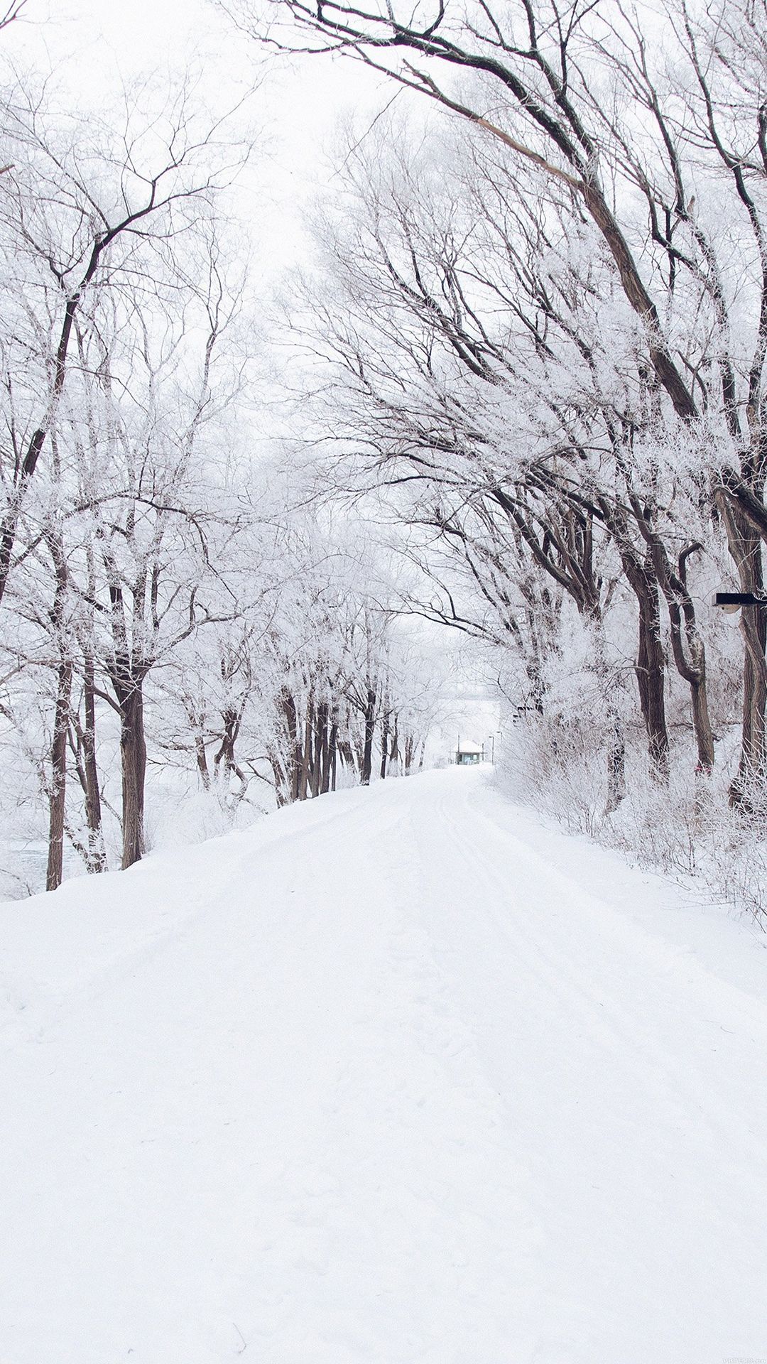 Snow Iphone Background