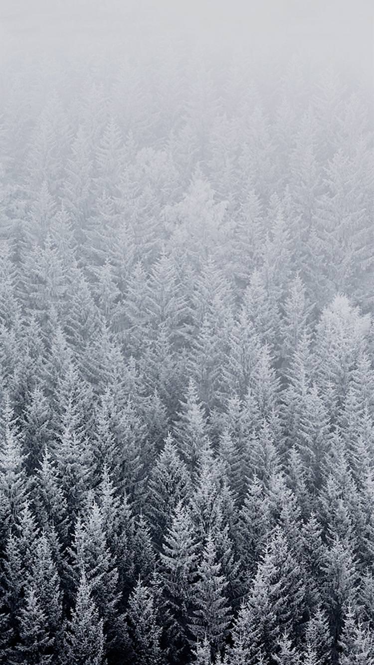 Snow Phone Background