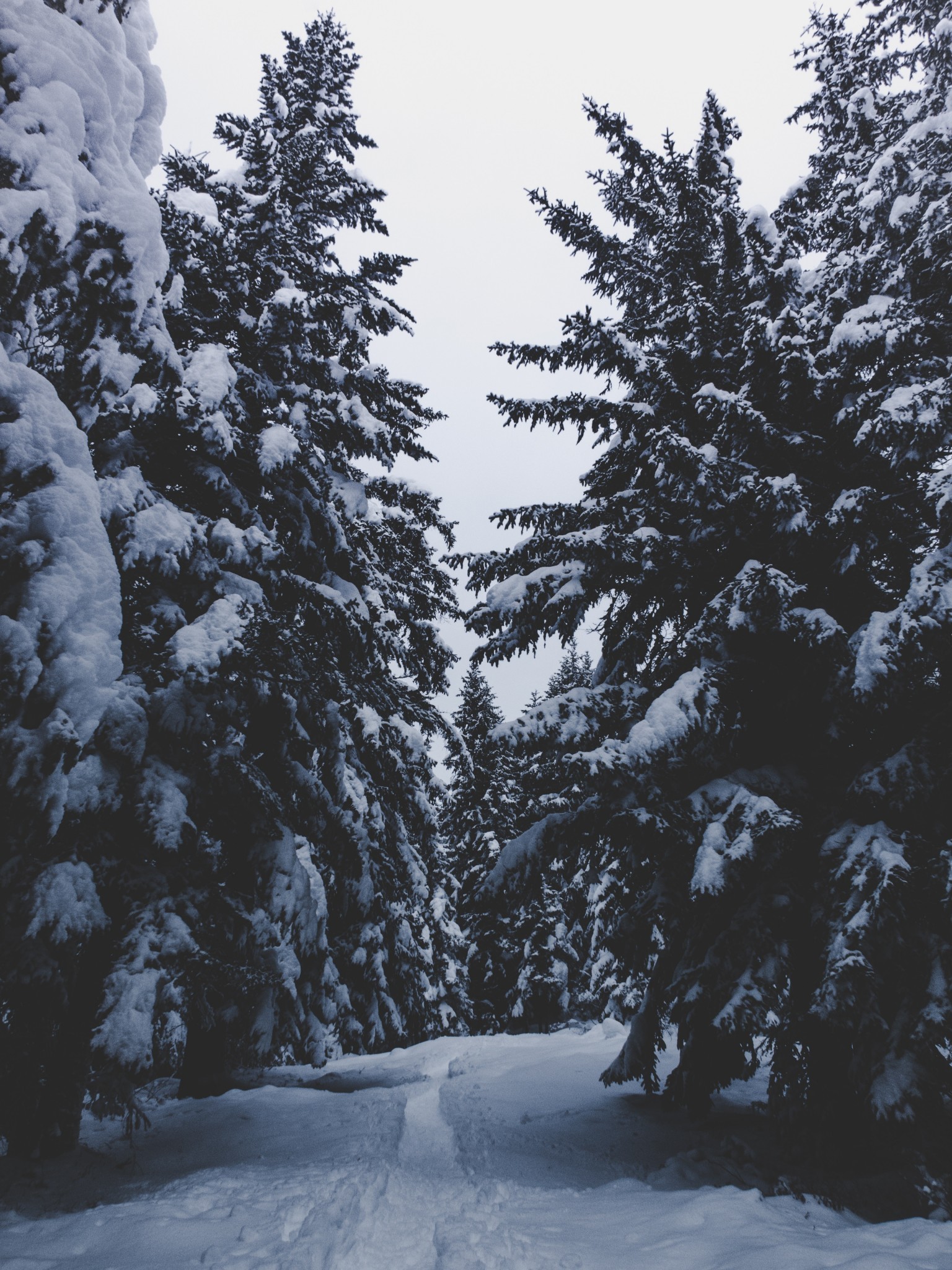 Snow Phone Background