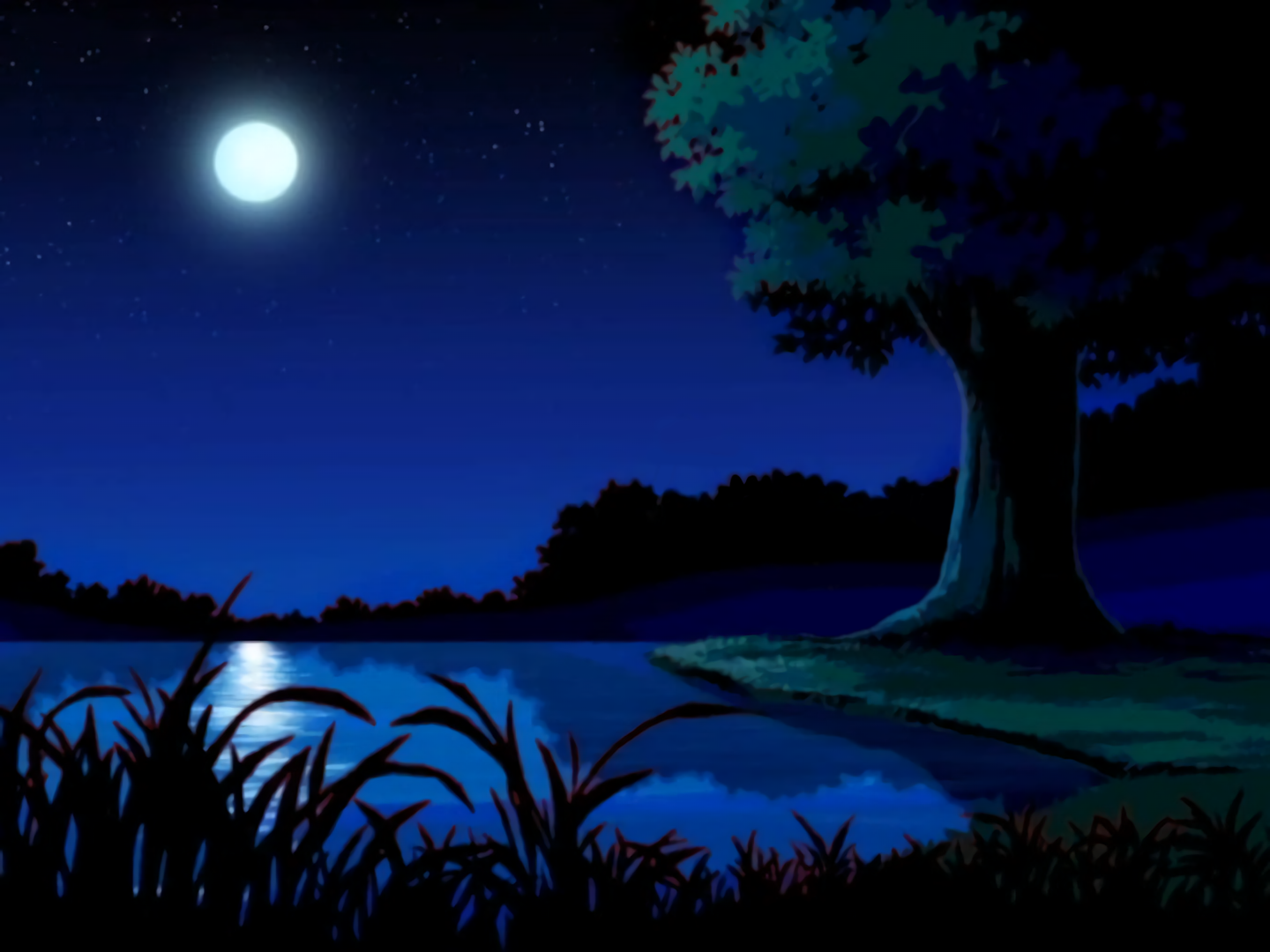 Sonic X Backgrounds