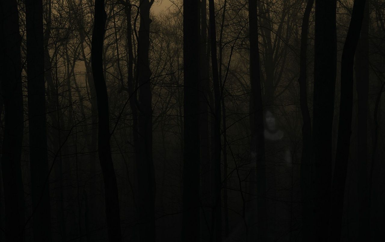 Spooky Forest Background