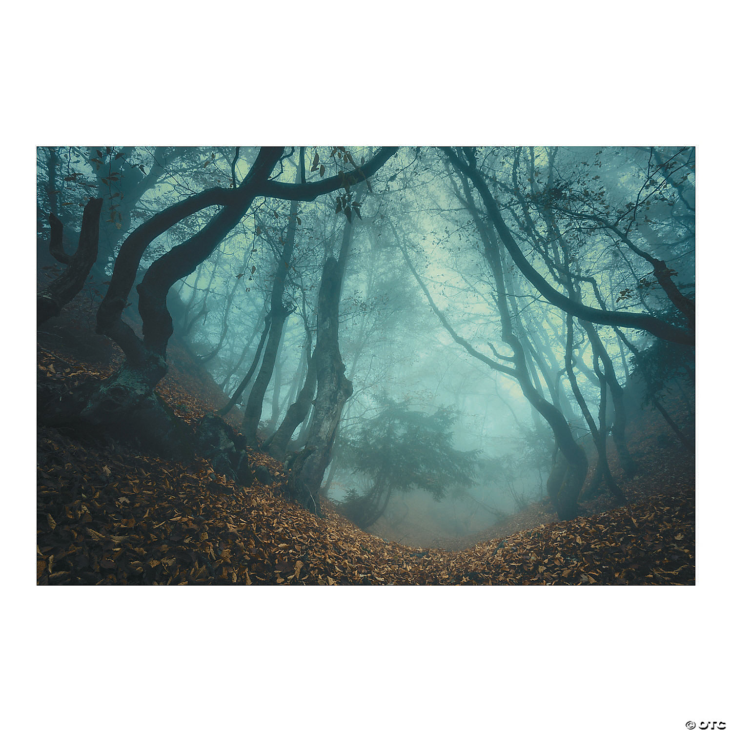 Spooky Forest Background