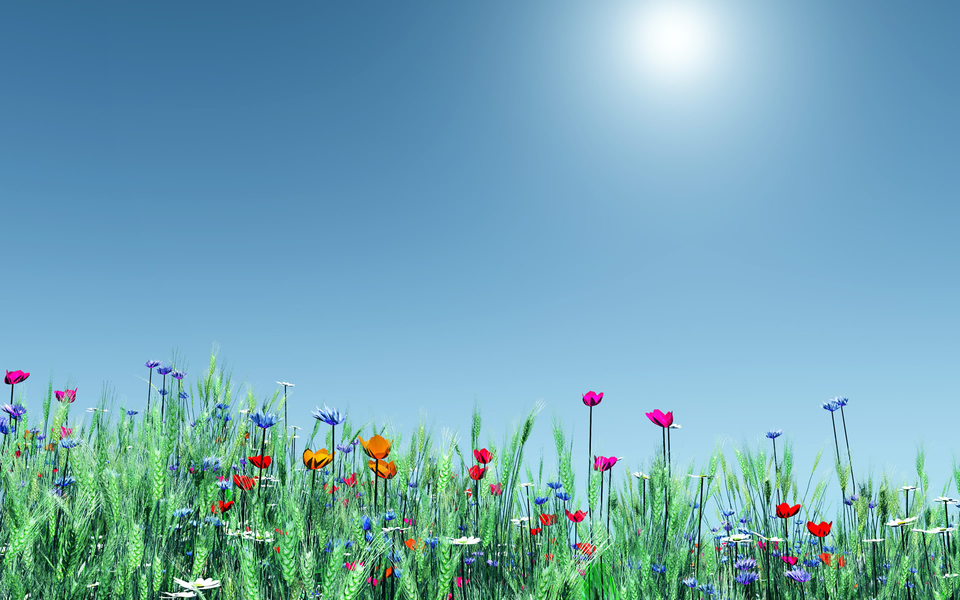 Spring Flowers Desktop Background