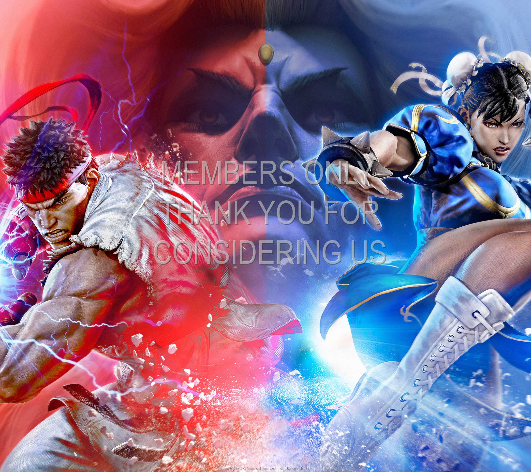 Street Fighter 5 Background