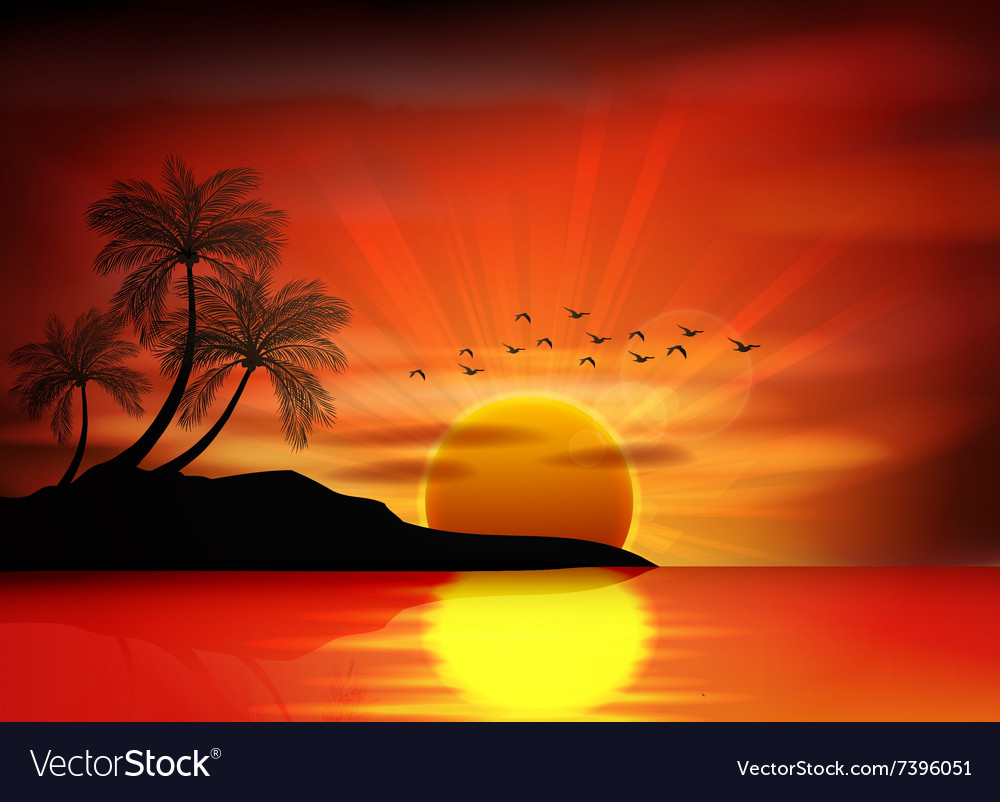 Sunset Background