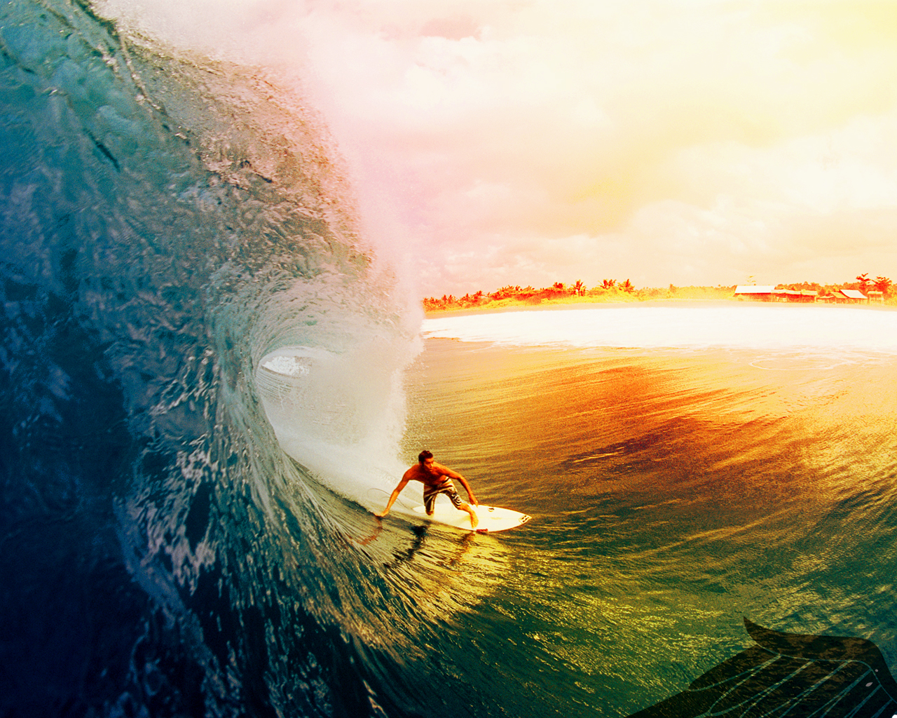 Surfer Desktop Backgrounds