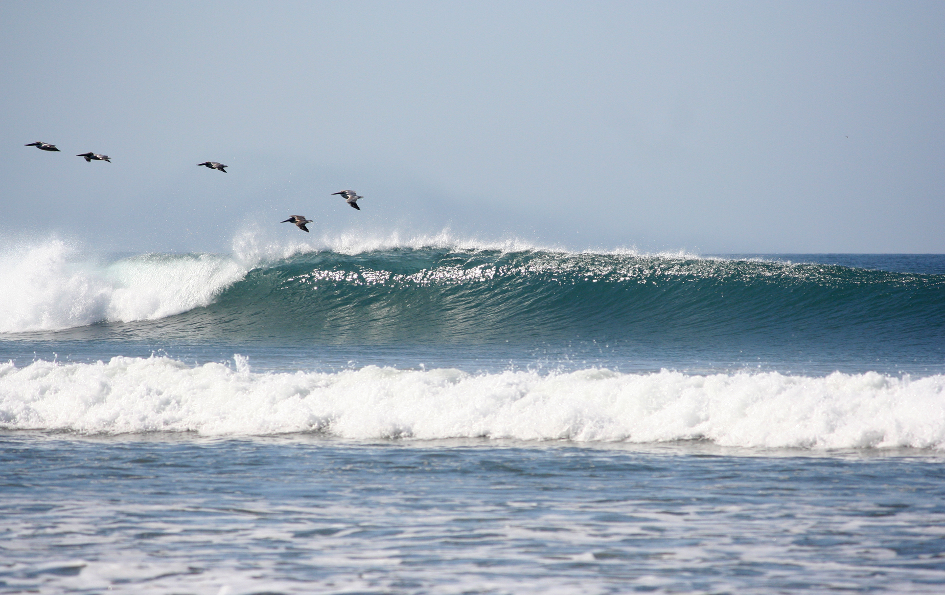 Surfer Desktop Backgrounds