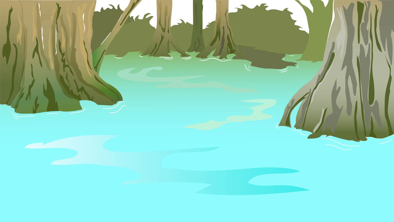 Swamp Background