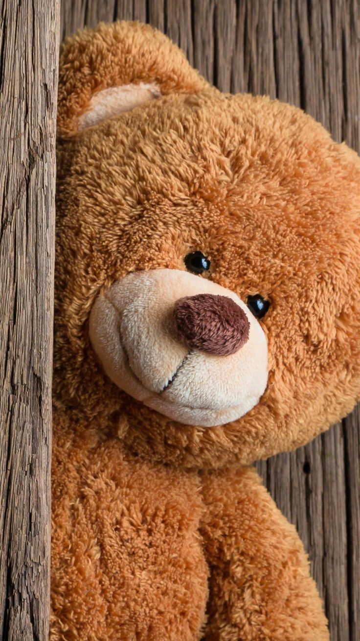 Teddy Bears Backgrounds