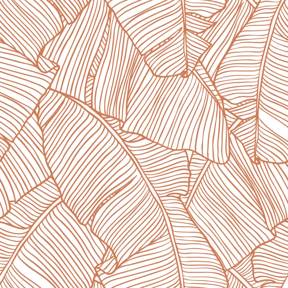 Terracotta Background