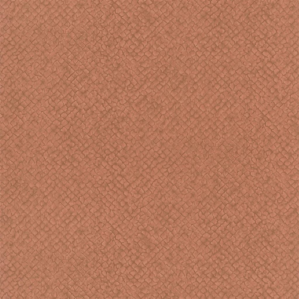 Terracotta Background