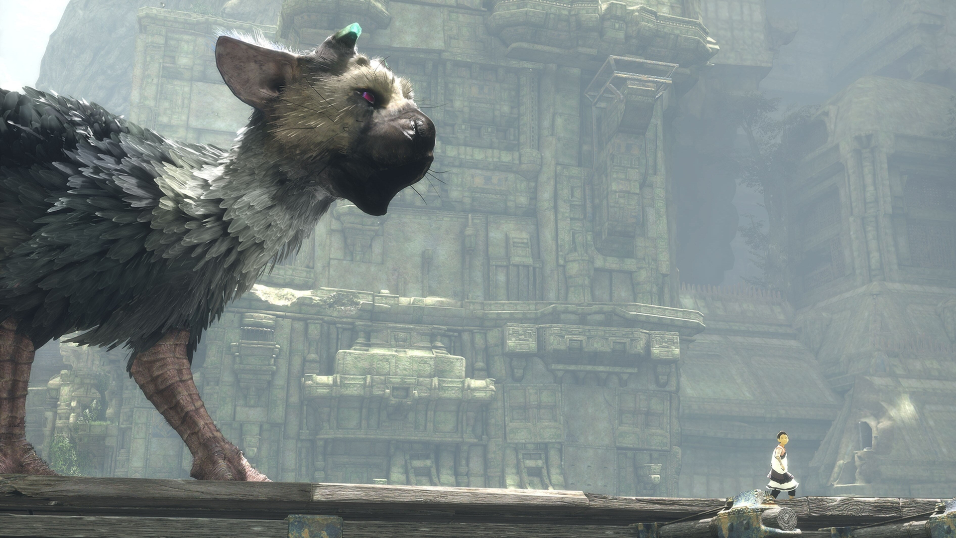 The Last Guardian Background