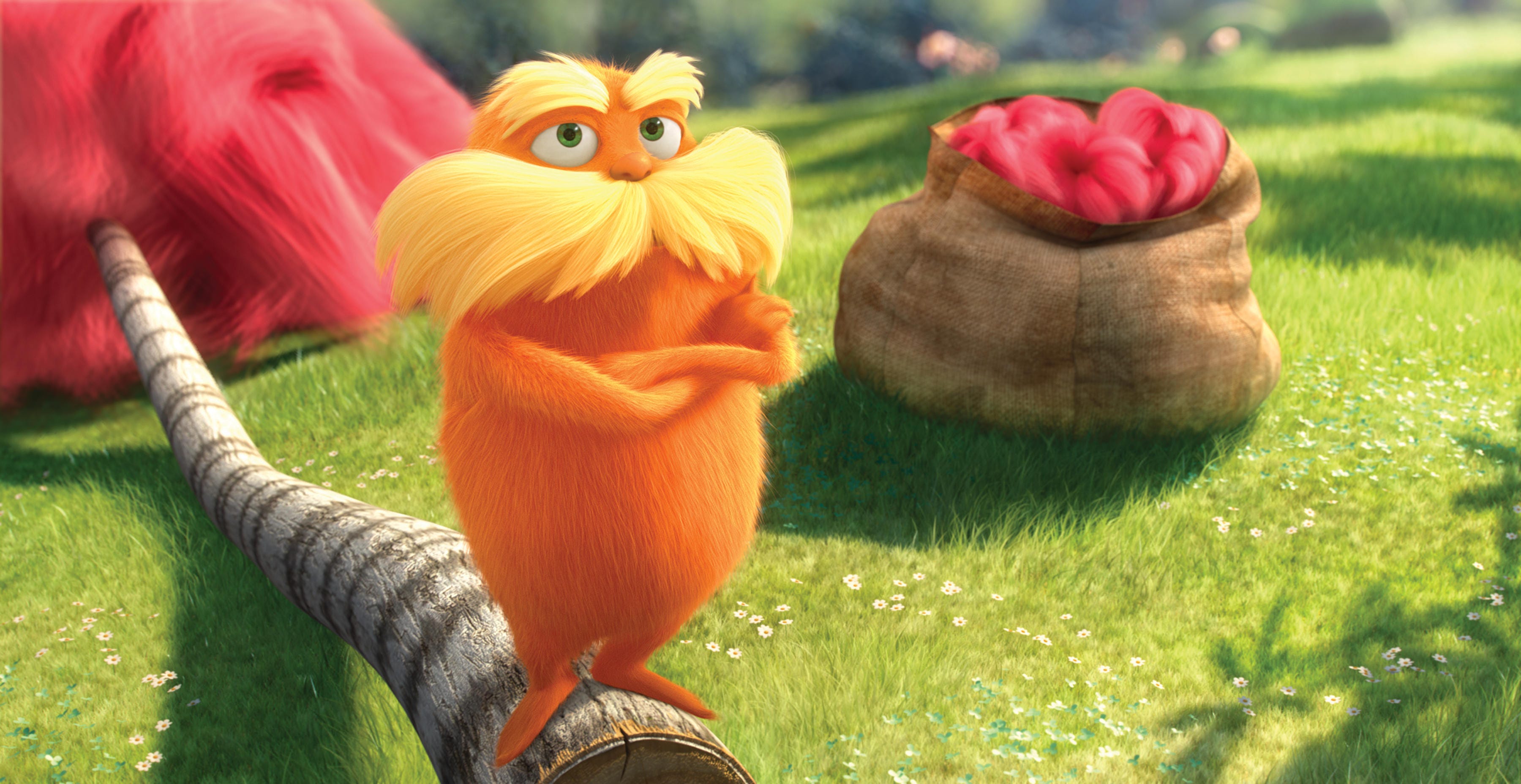 The Lorax Background