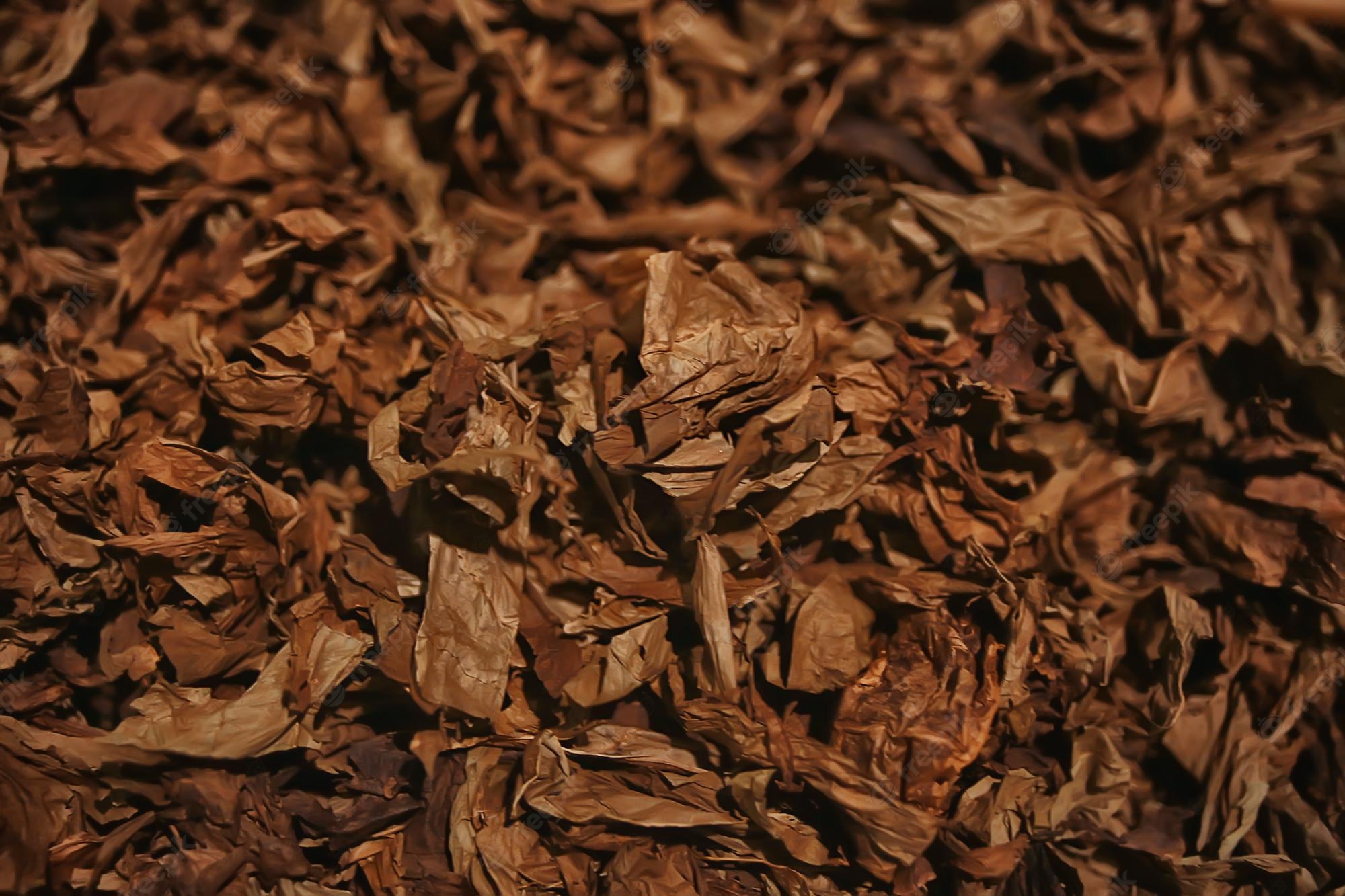 Tobacco Backgrounds