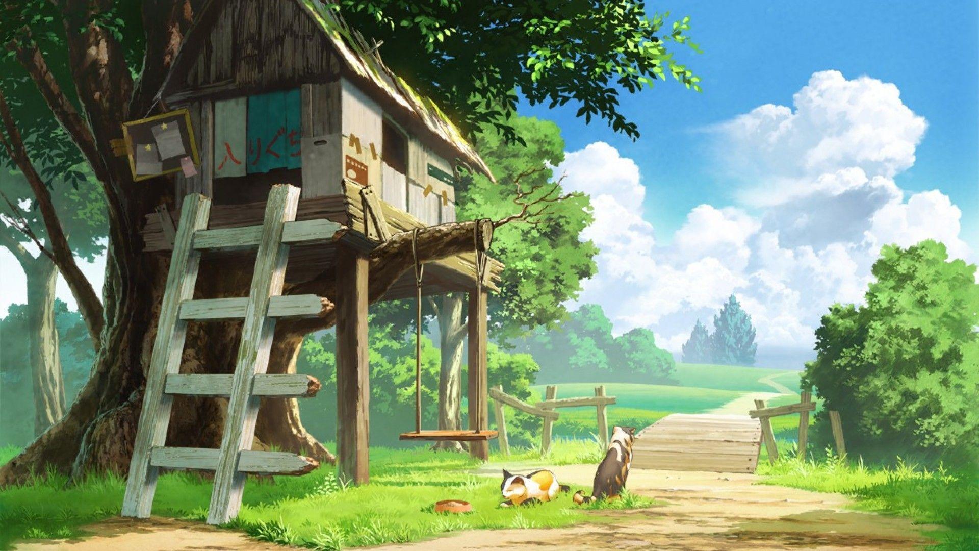 Treehouse Background