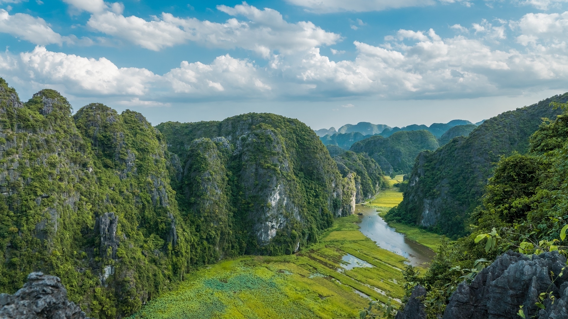 Vietnamese Backgrounds