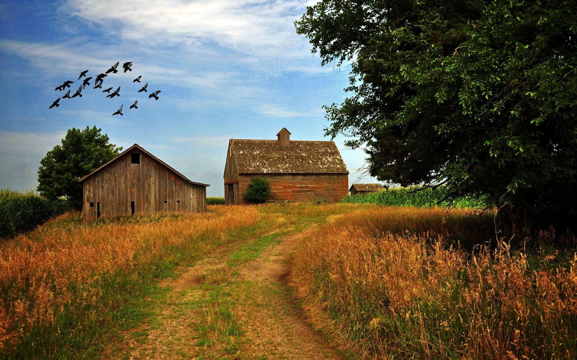 Wallpaper Farmhouse Background