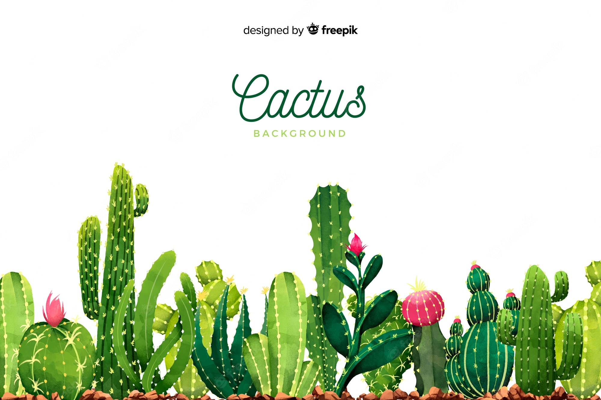 Watercolor Cactus Background