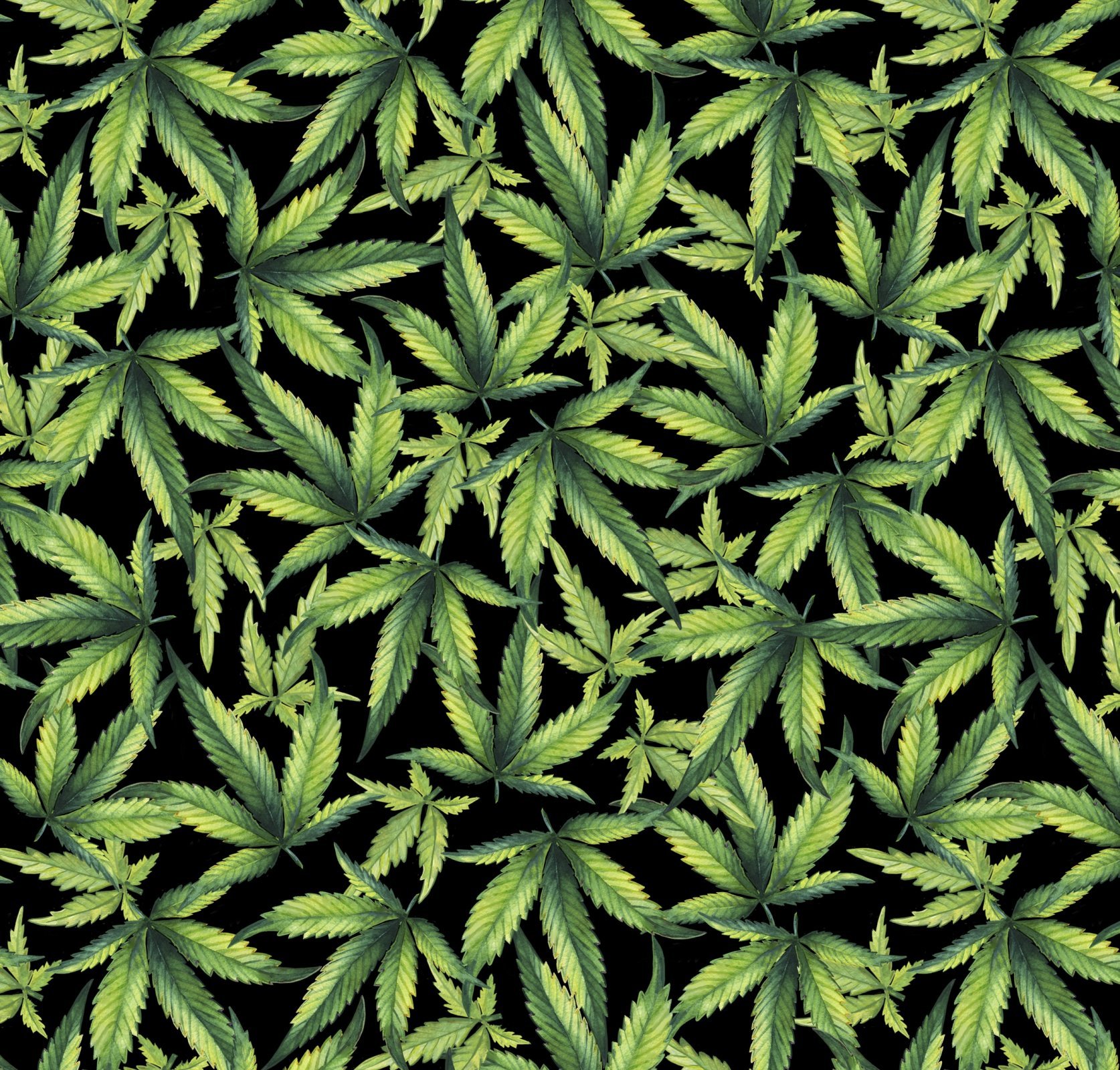 Weed Plants Backgrounds