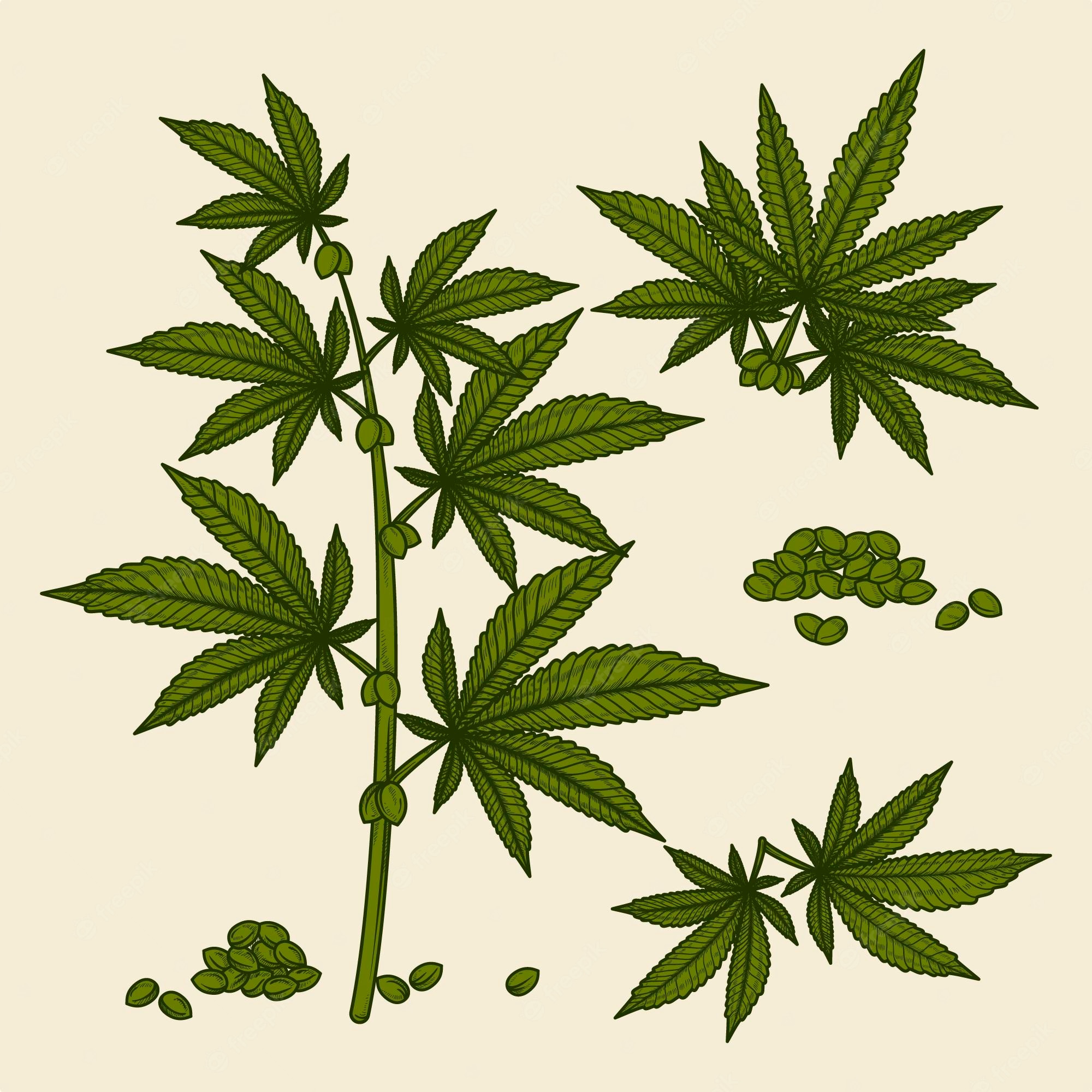 Weed Plants Backgrounds