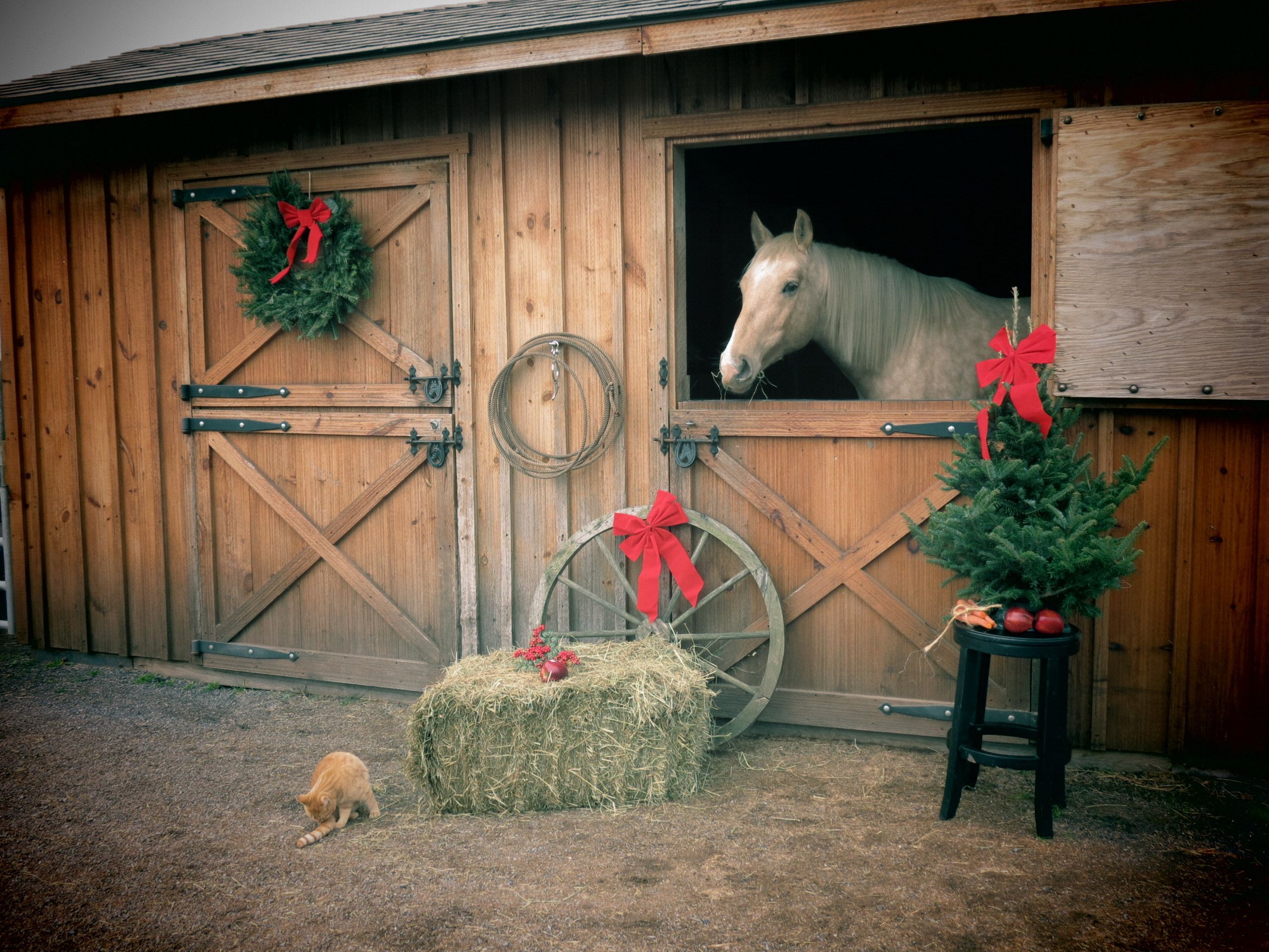 Western Christmas Background