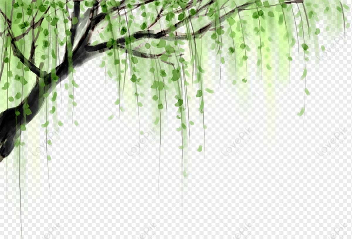 Willow Tree Background