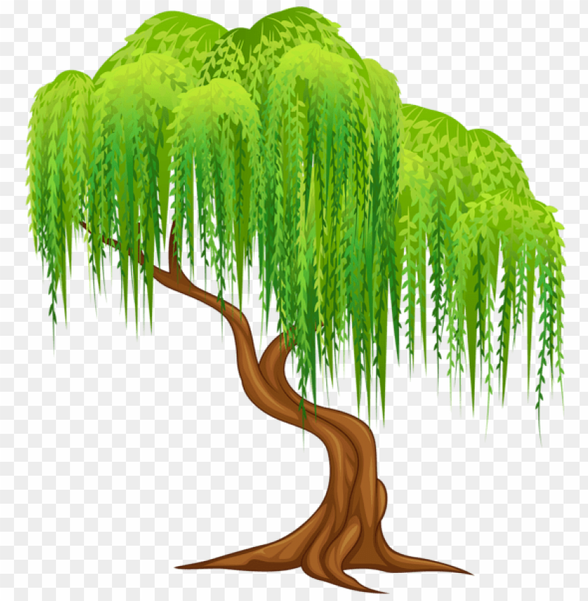 Willow Tree Background