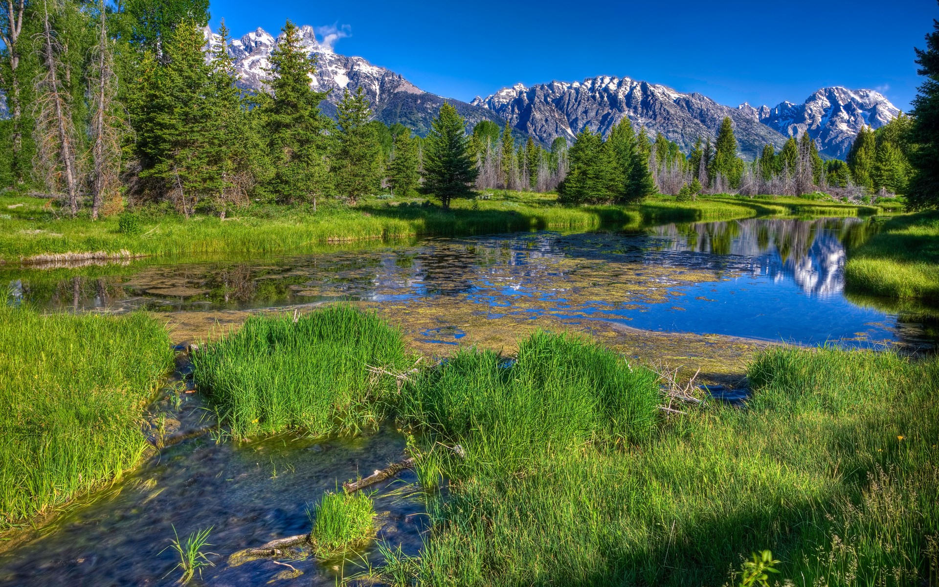 Windows Backgrounds Nature