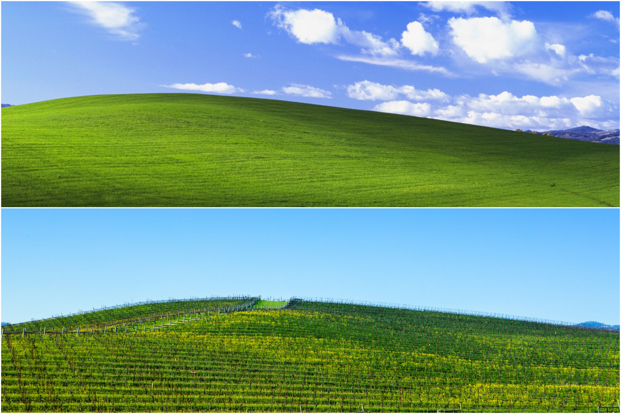 Windows Xp Background