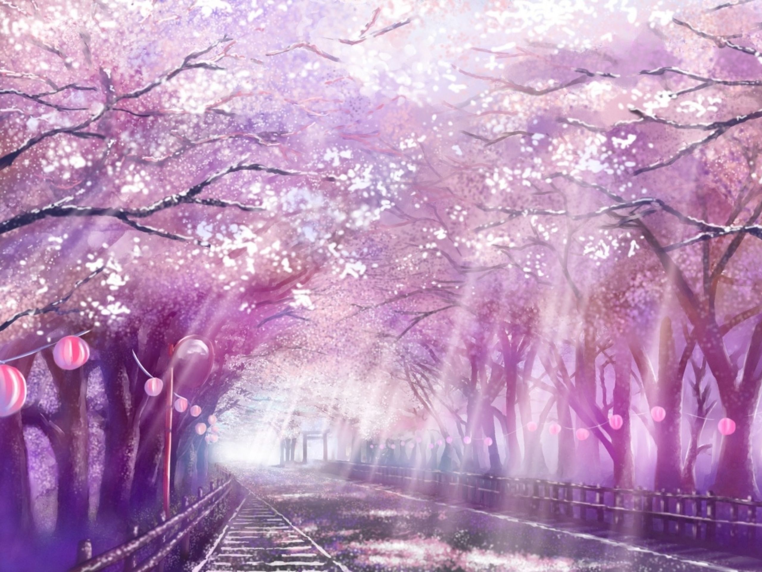 Your Lie In April Background